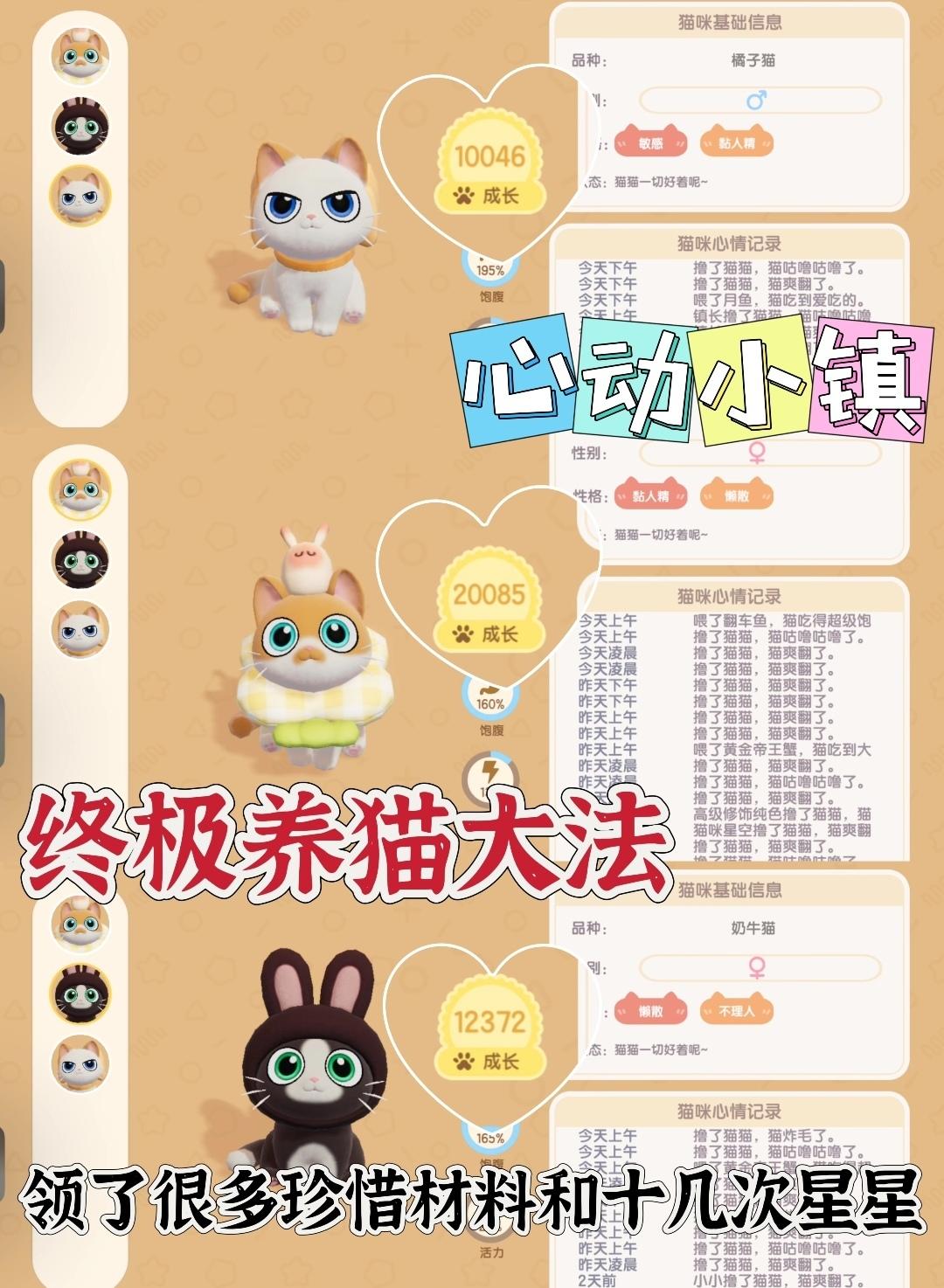 心动小镇：没人跟你们说过的终极养猫大法