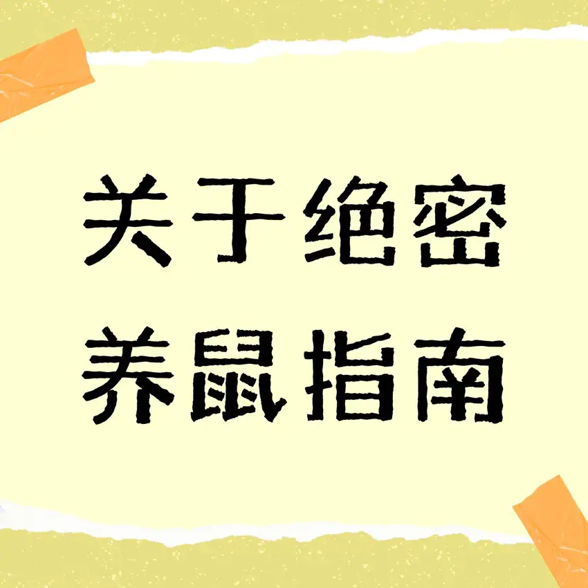 关于绝密养鼠指南截图