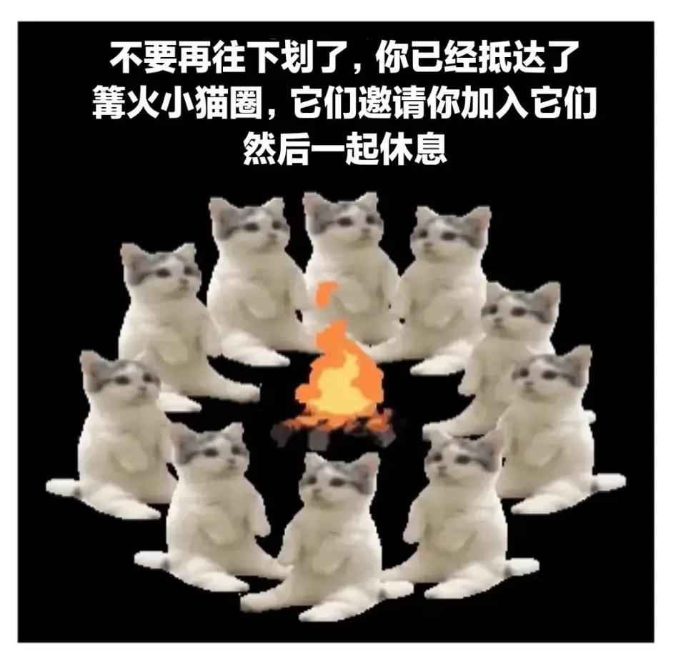 书仙录可以剔除阴阳吗