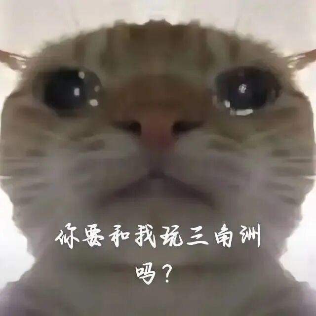 首个外挂工作室被捣毁了，希望再接再厉