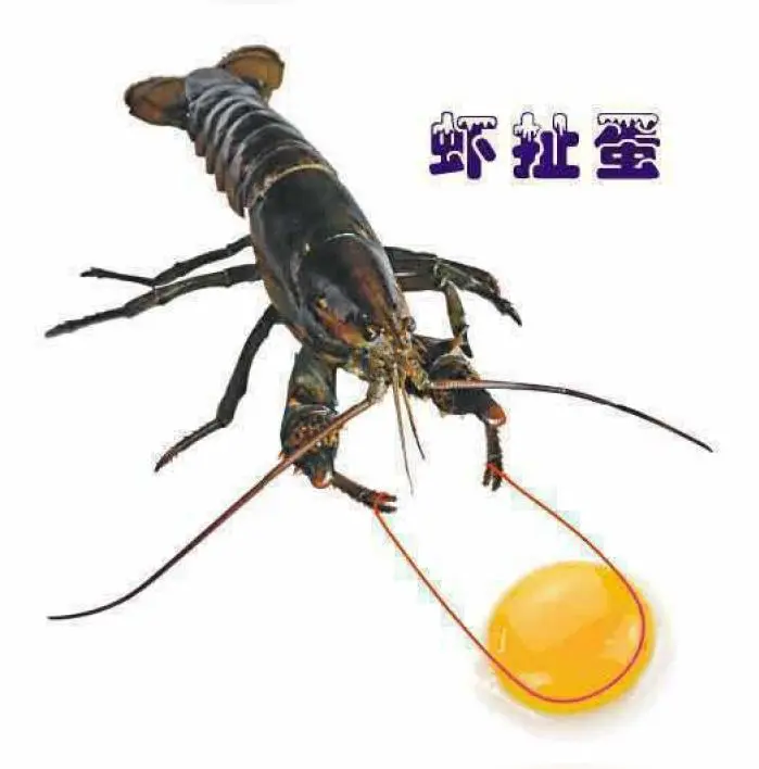 六总，更新前好好斟酌斟酌。