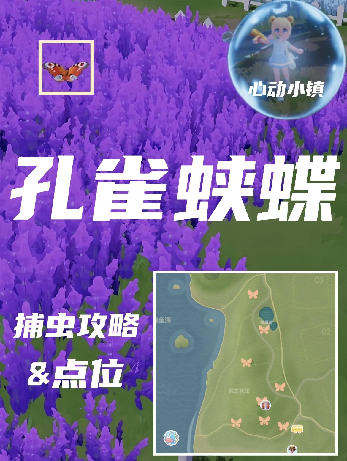 孔雀蛱蝶（5级）捕虫攻略&点位