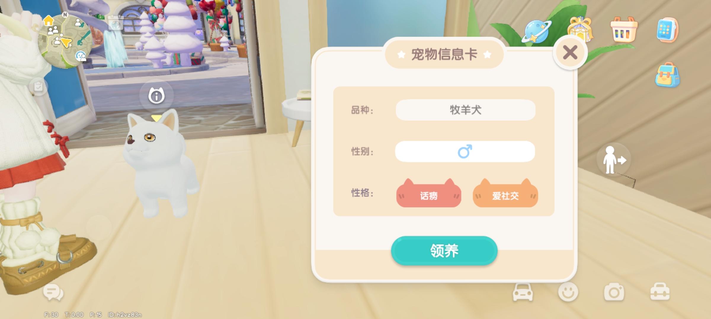 喜从天降，领养了小白狗