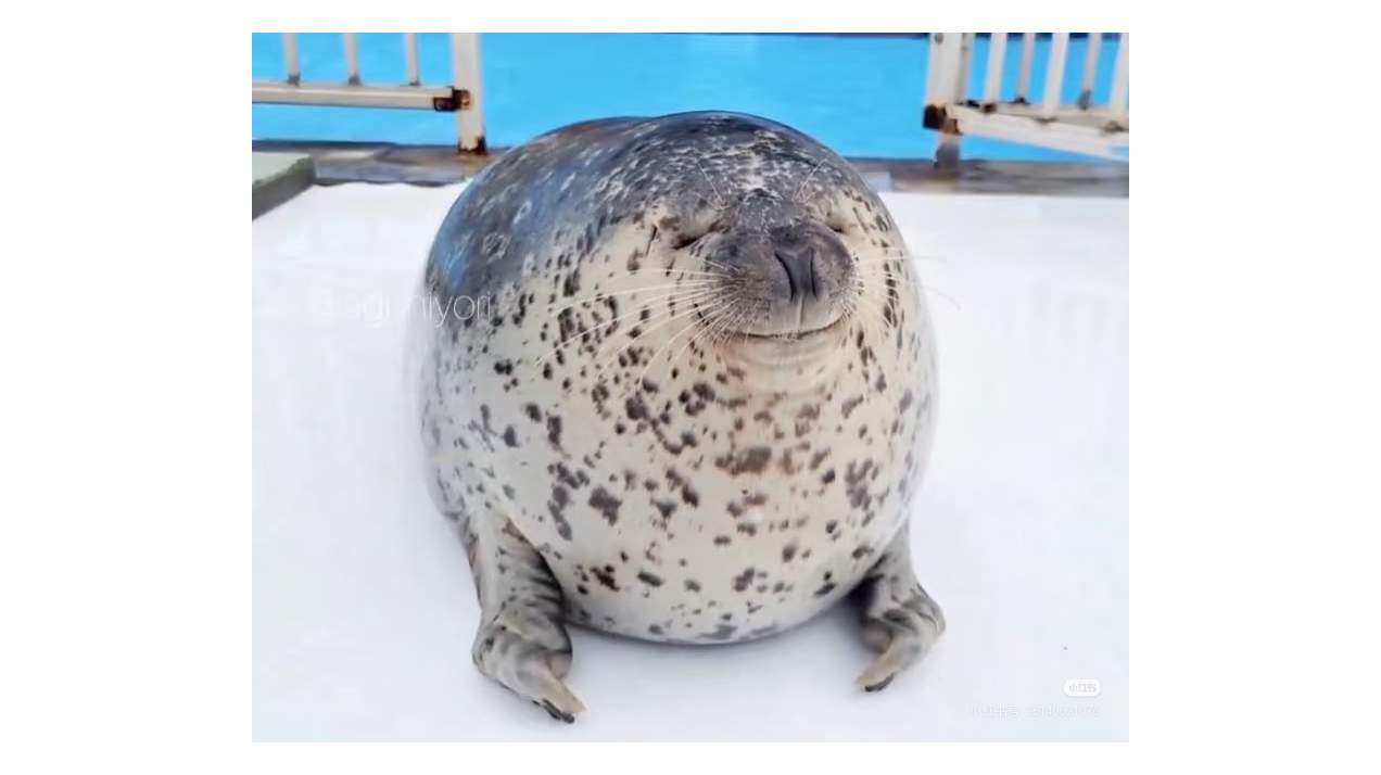 2025/12/04 WEEK2 26960 水帖