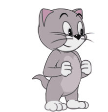 托普斯动作展示丨小奶猫托普斯来啦，智商高捕鼠强就是他！|猫和老鼠 - 第7张
