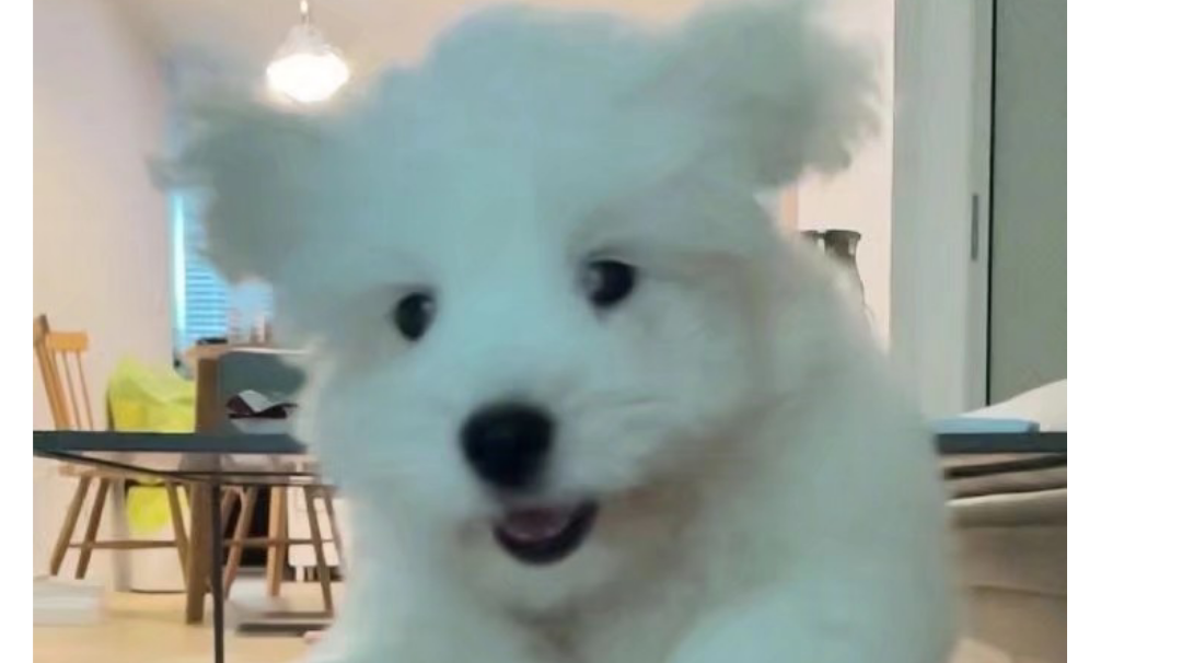 拘魂—血衣篇预告