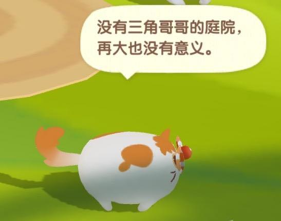 嘘，你听那只小猫在说什么……？|猫咪公寓2 - 第3张