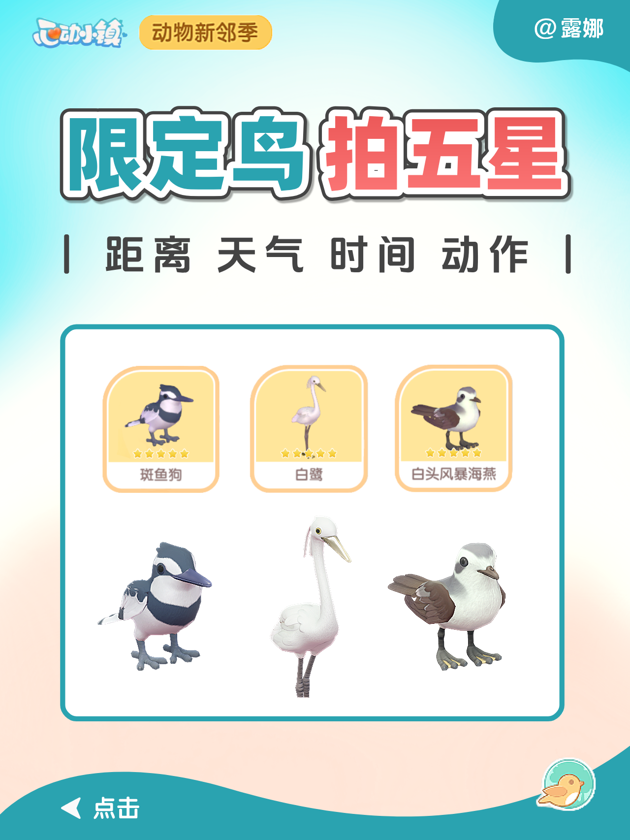 动物新邻 限定鸟 观鸟五星攻略