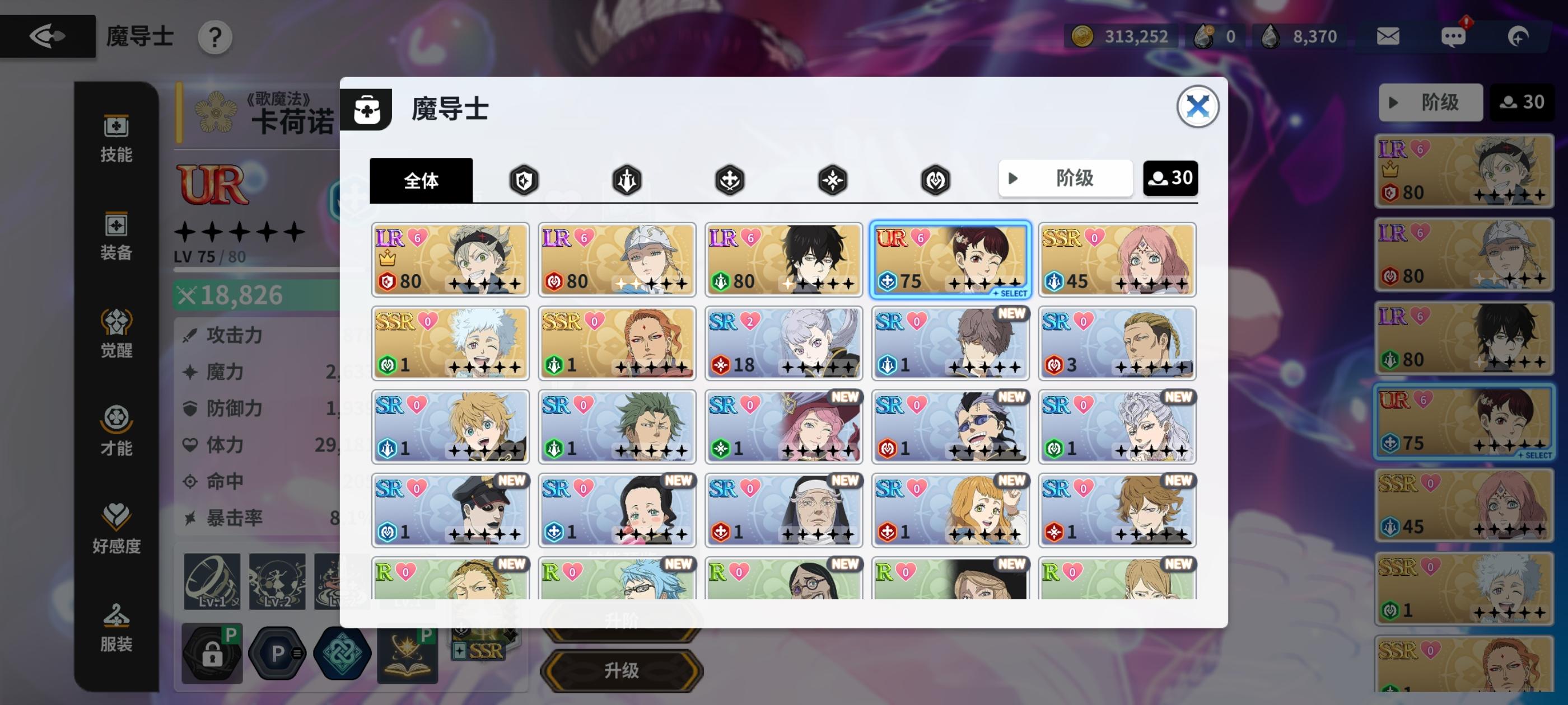 大佬看看阵容截图