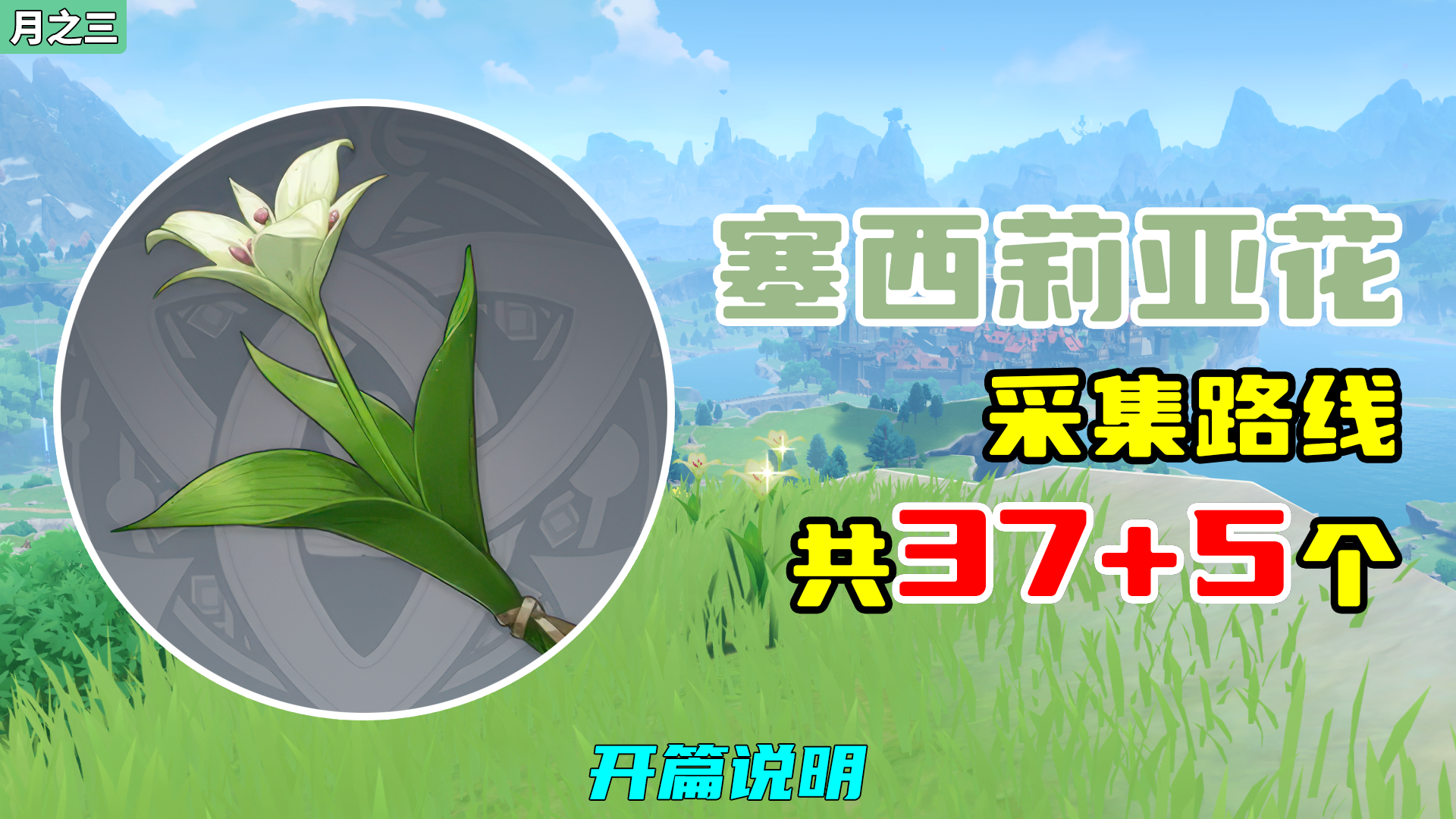 【原神】塞西莉亚花采集路线（37+5个），开篇说明