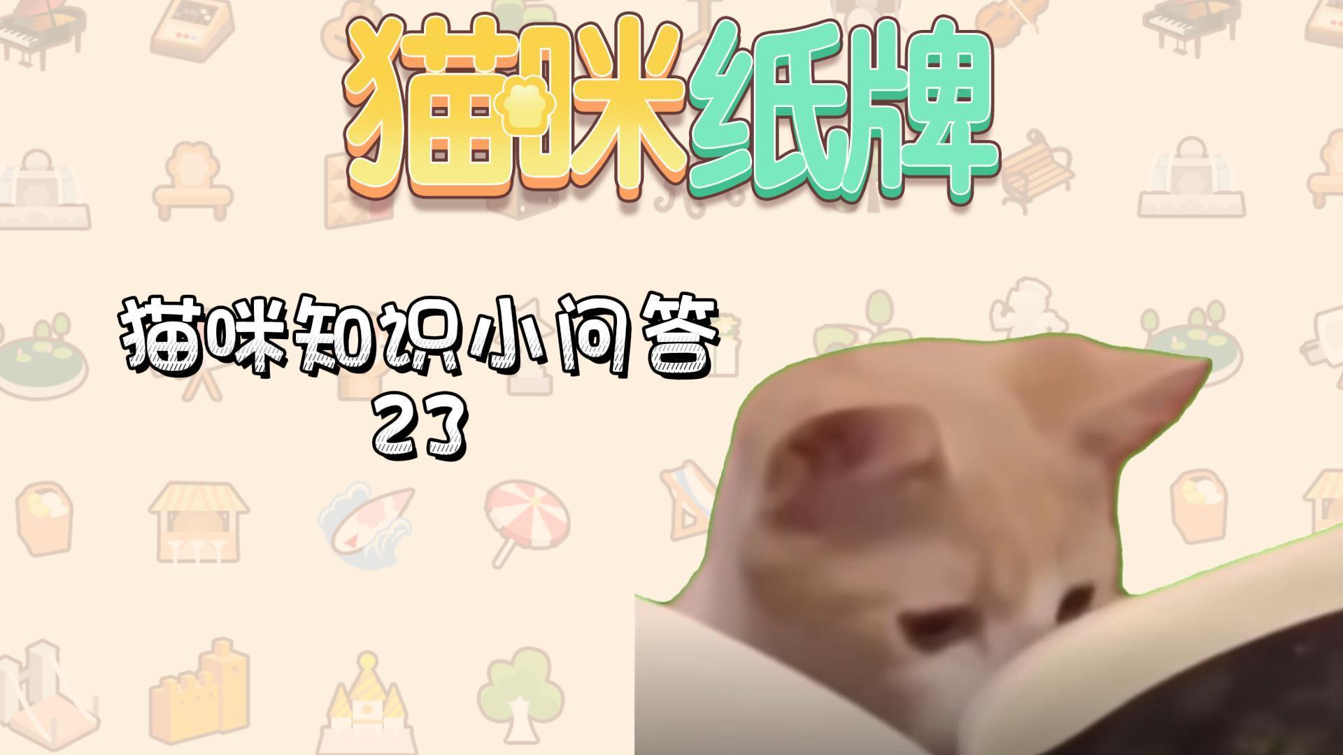 《猫咪纸牌》猫知识小问答 23🐱