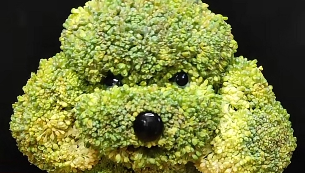 2022版新手开局最新攻略，助你少走弯路。