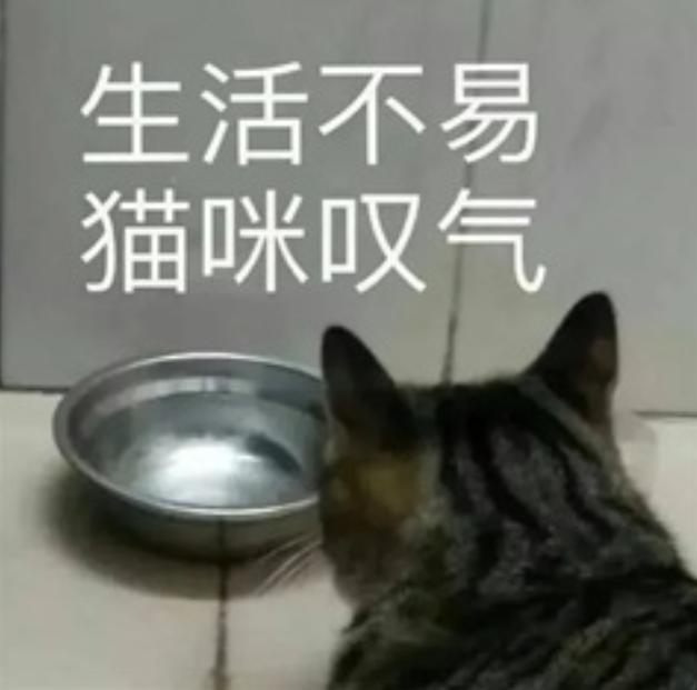 建议出个不打人或者只拿刀的摸金图