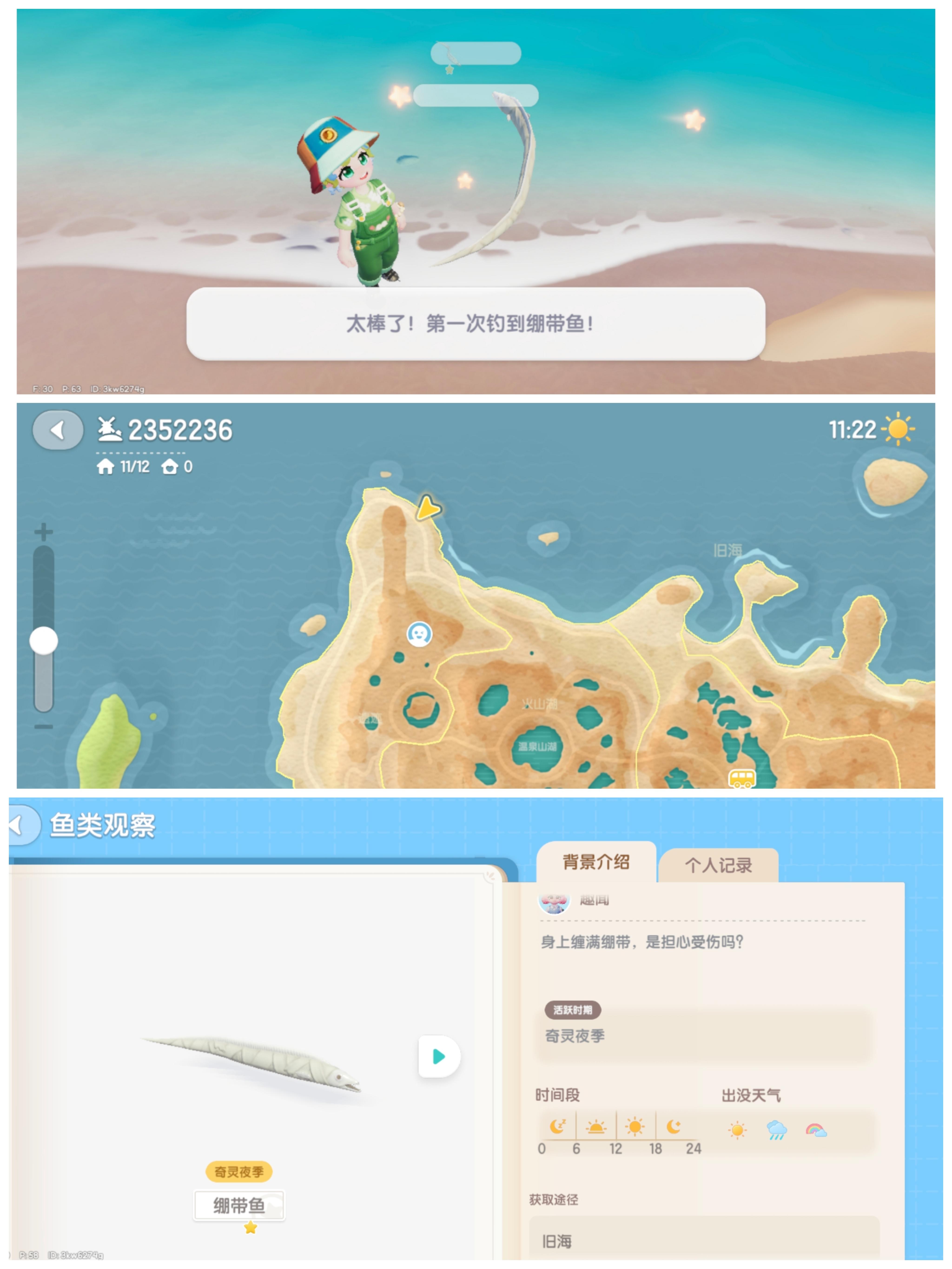 奇灵夜新活动鱼