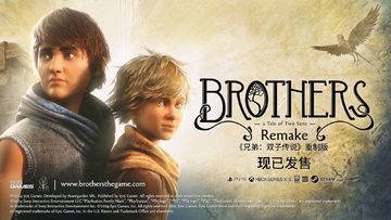 《兄弟：双子传说重置版》早年的双人游戏天花板之一！