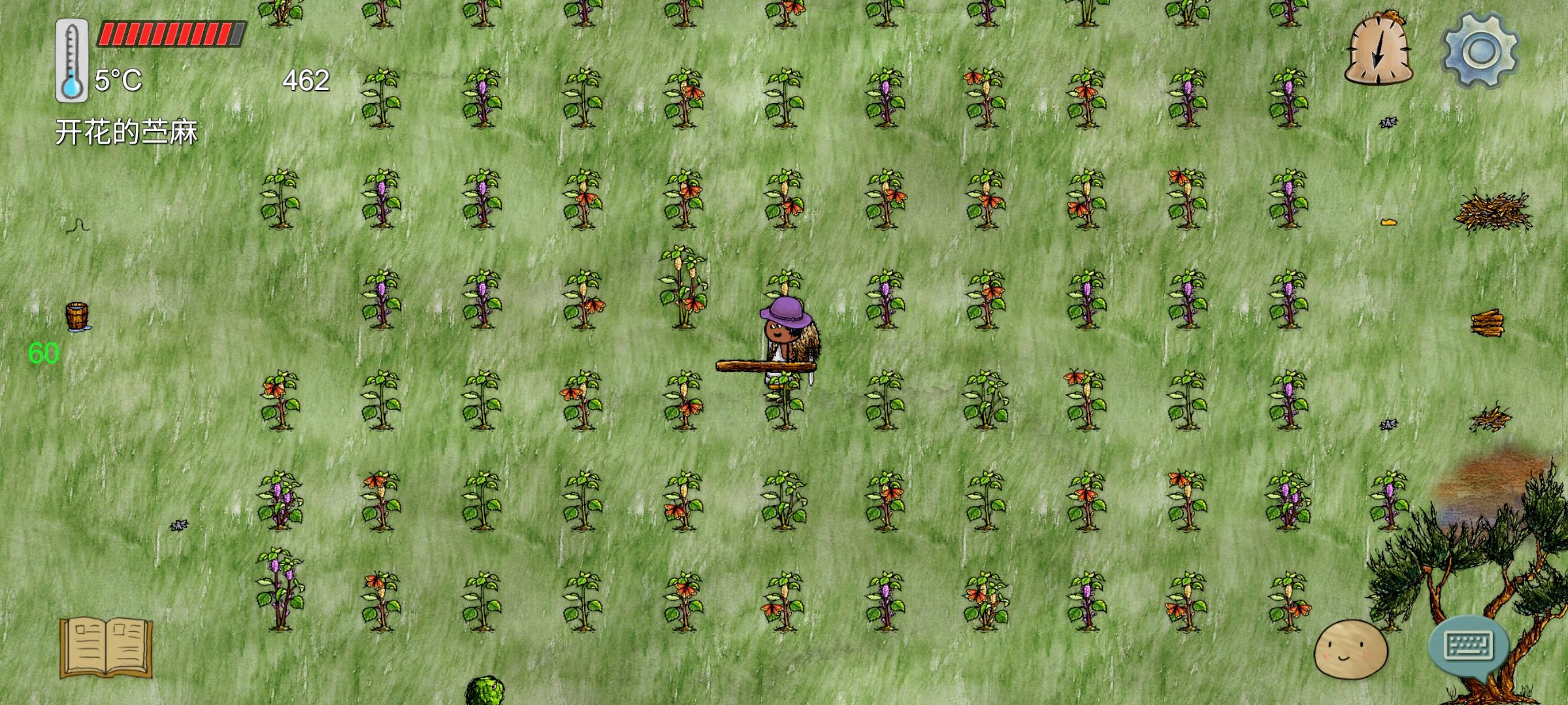 关于上次被偷家后续