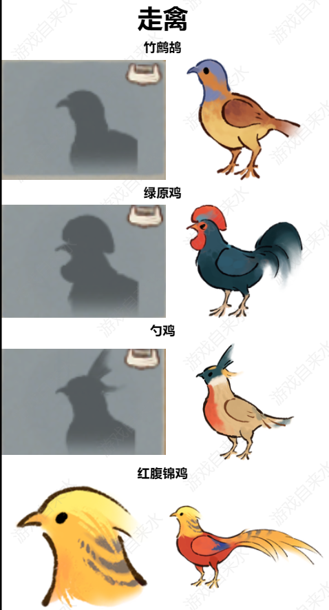 鸟类图鉴
