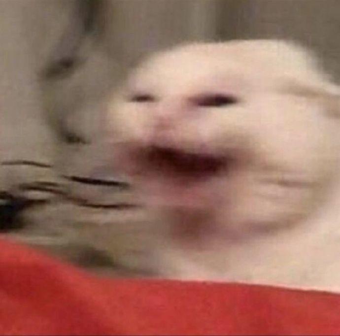 【第124期周报：手机版测试推进】