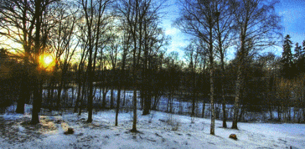 【我的百分之一】【这个世界需要英雄，评《轮回与梦之旅人》】