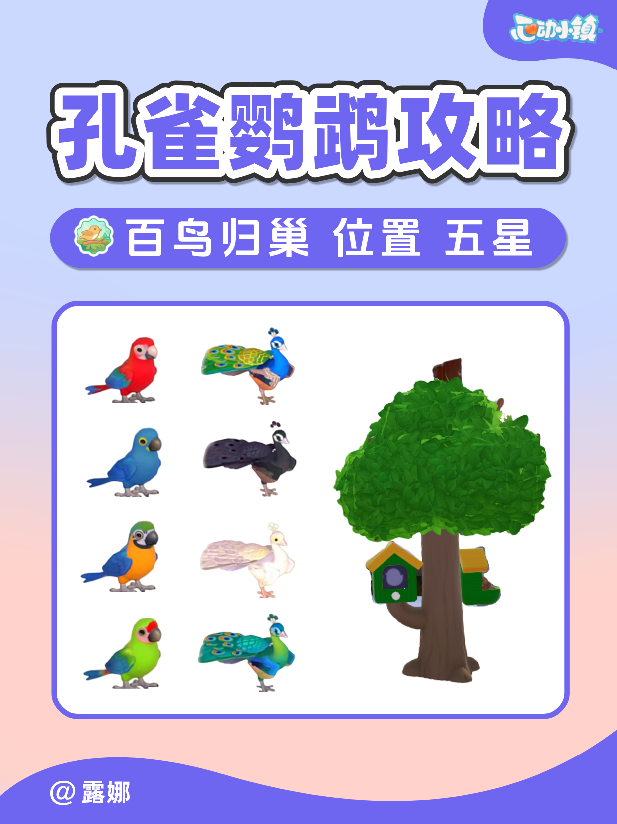 孔雀鹦鹉图鉴攻略 8新鸟 百鸟归巢观鸟事件