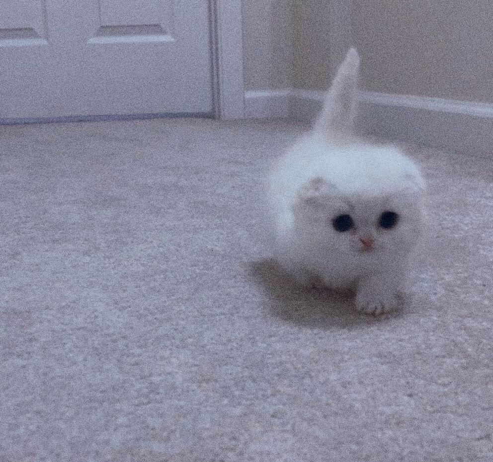 添加AI，其实是一件好事