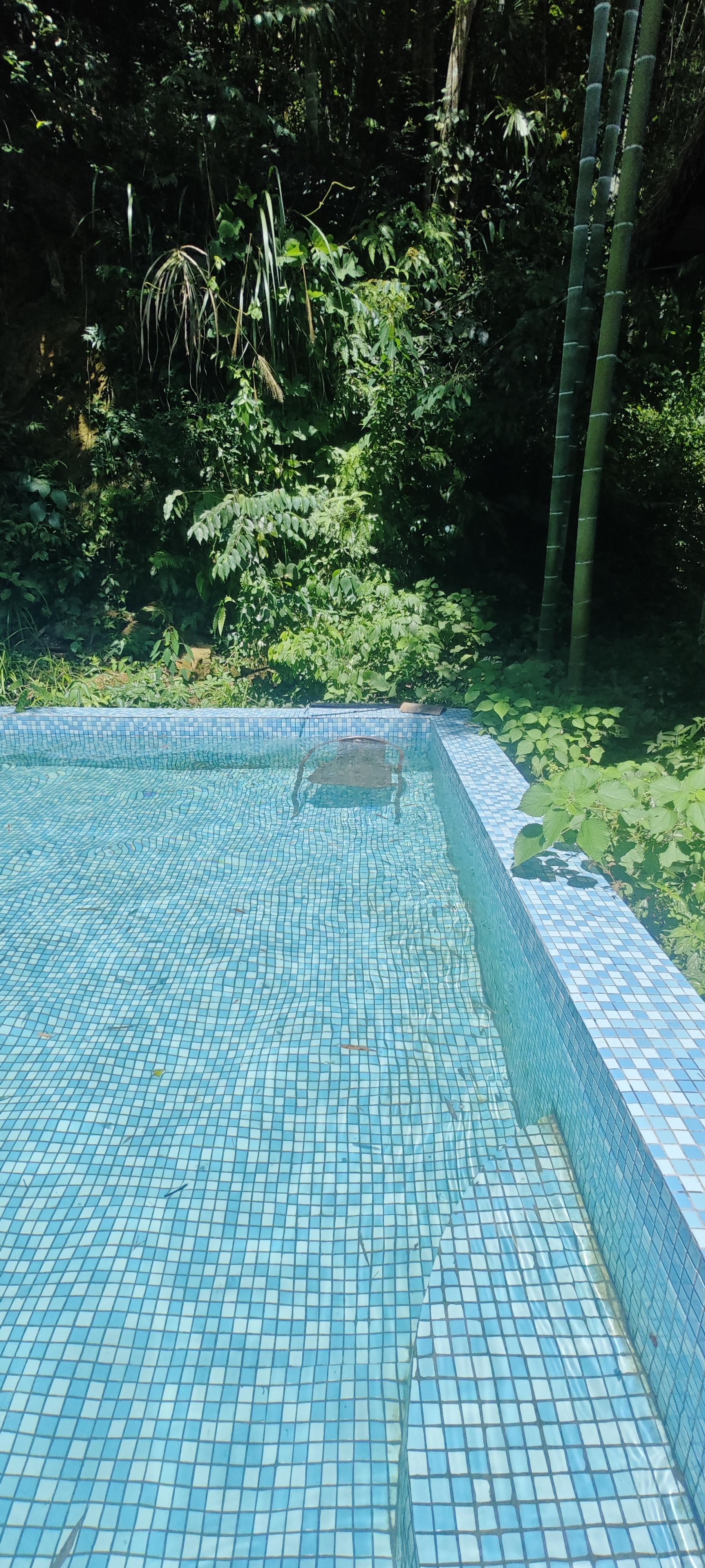 bloody Mary chair截图