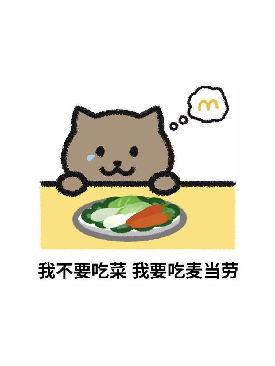 致敬素未谋面的胖猫兄弟