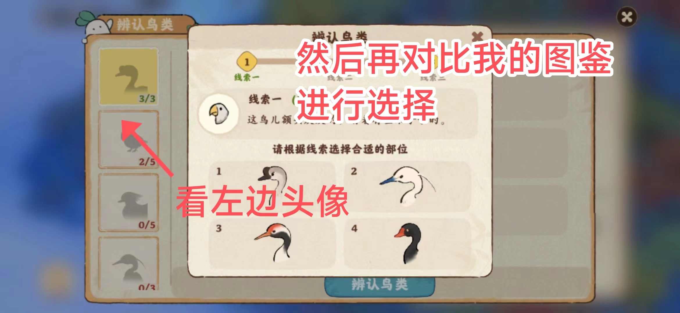 鸟类图鉴