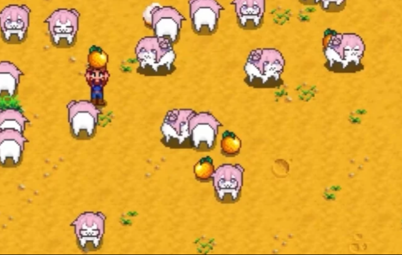 在星露谷里面养Dora，收获欧润吉！