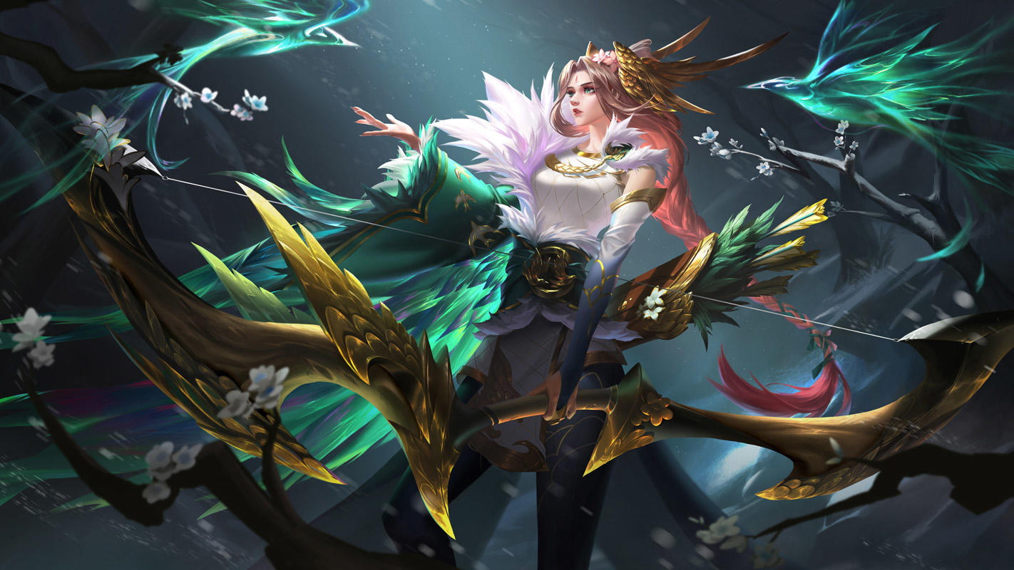 11月25日更新公告