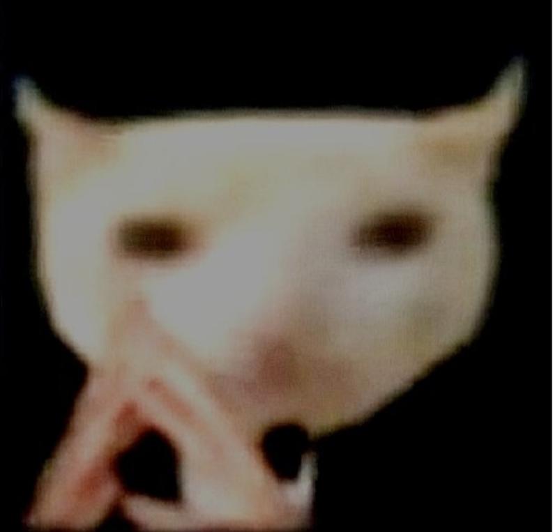 你是一个玩了一年多的老登玩家