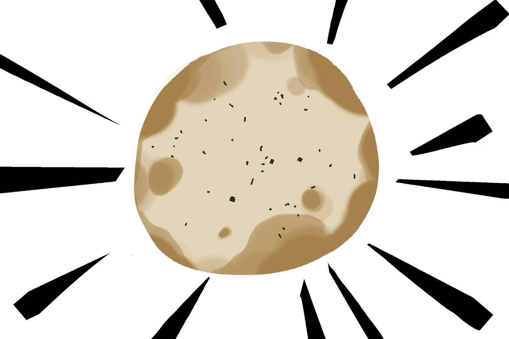 【开发者日志5】开发第19天