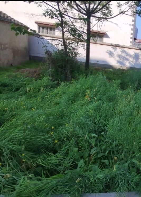 谷雨分享s990 不川內酷