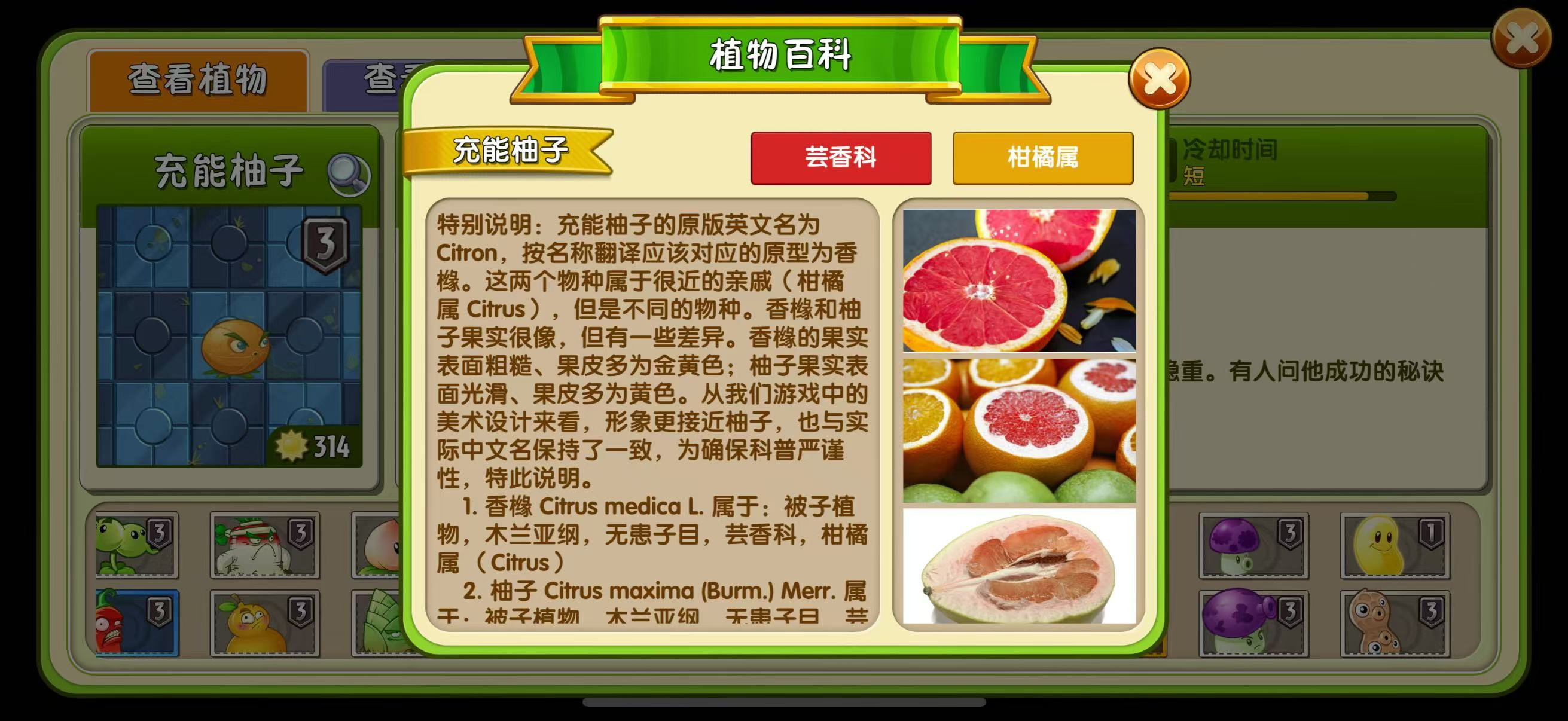 【新版本开放百科功能的植物】