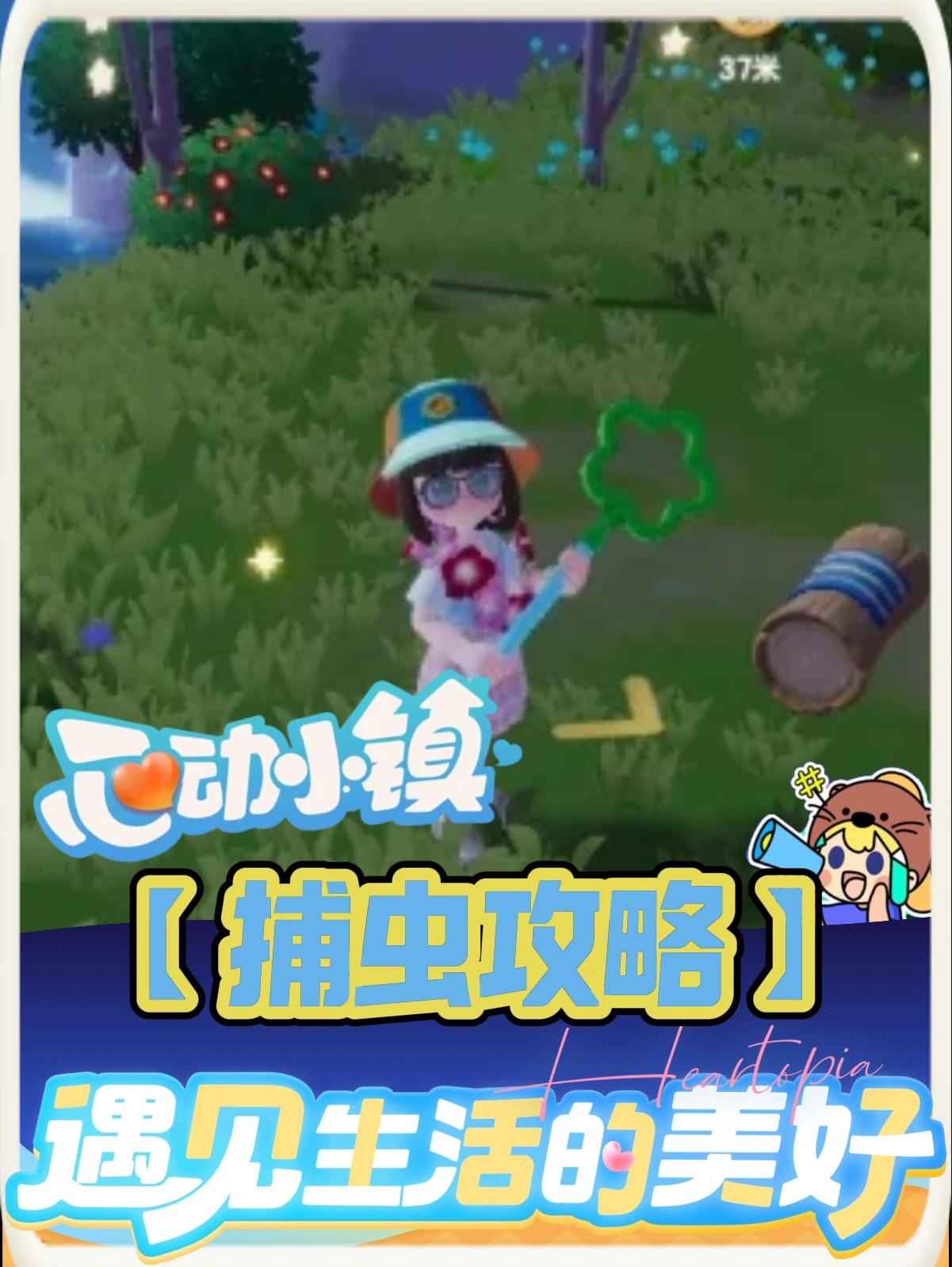 【捕虫攻略】小镇抓萤火虫方法截图