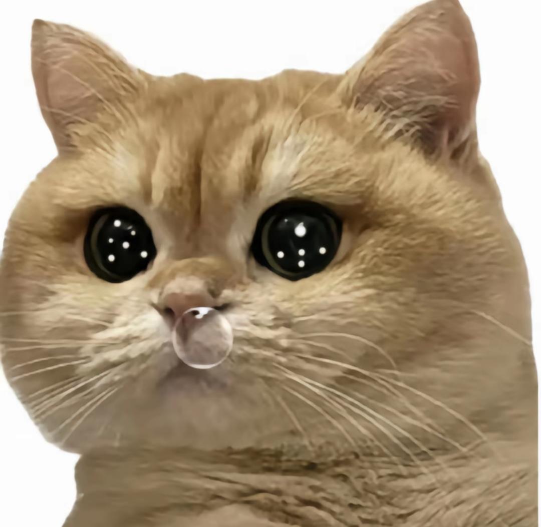 有一说一，仙缘自选池的弟子（策划看过来）