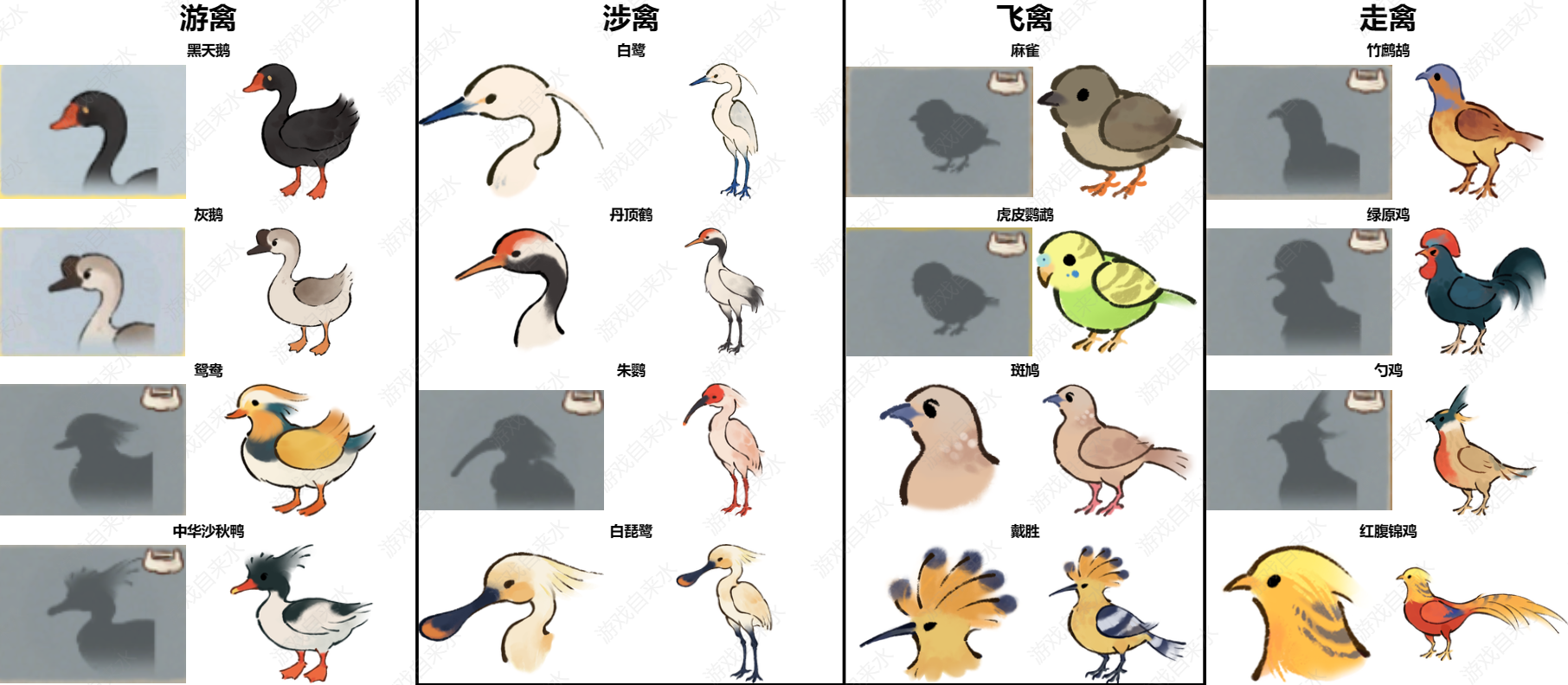 鸟类图鉴