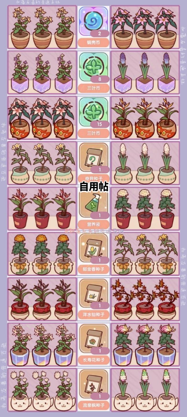 花香满屋的花架指定搭配截图