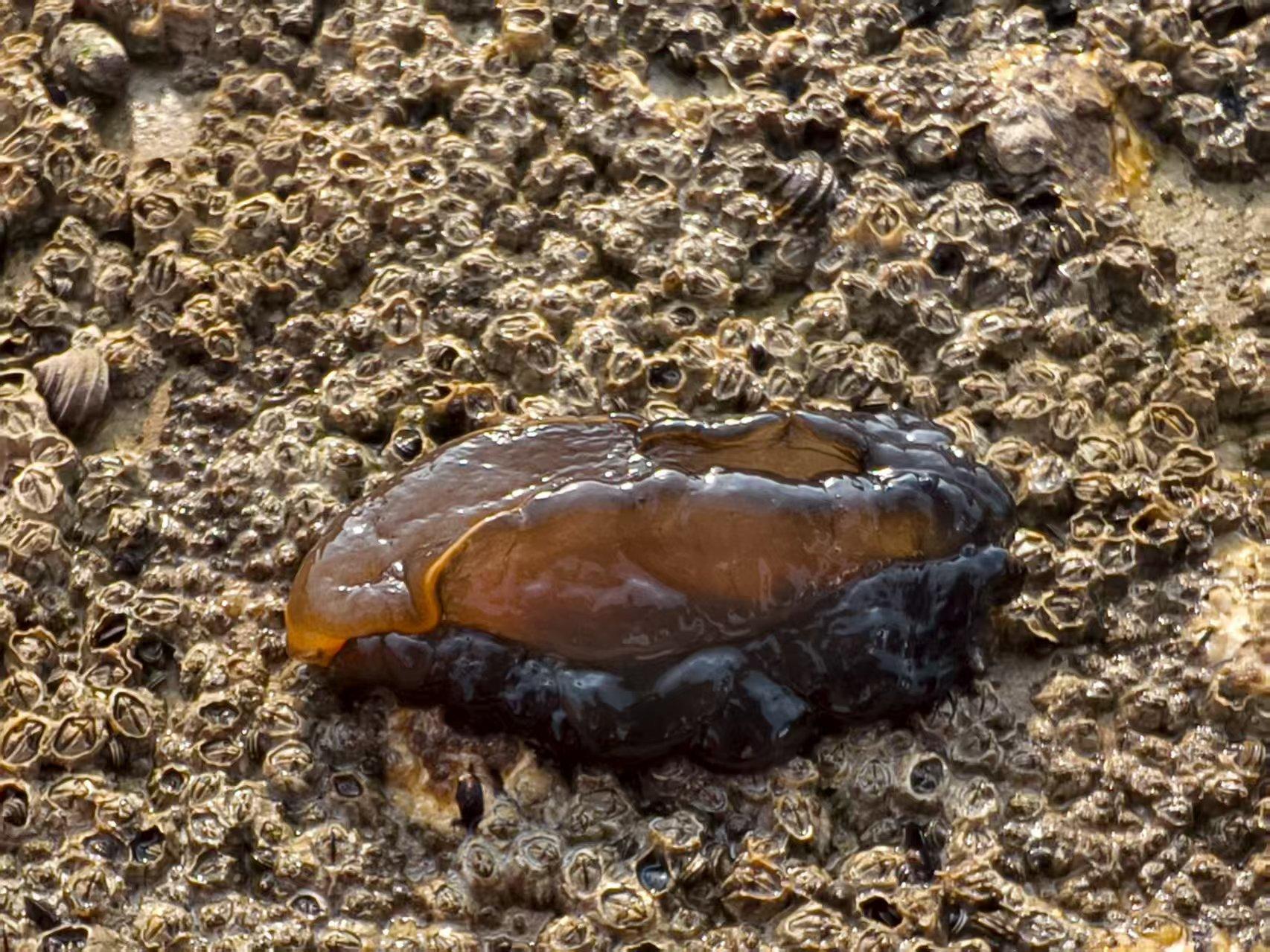 给新人的一点儿建议