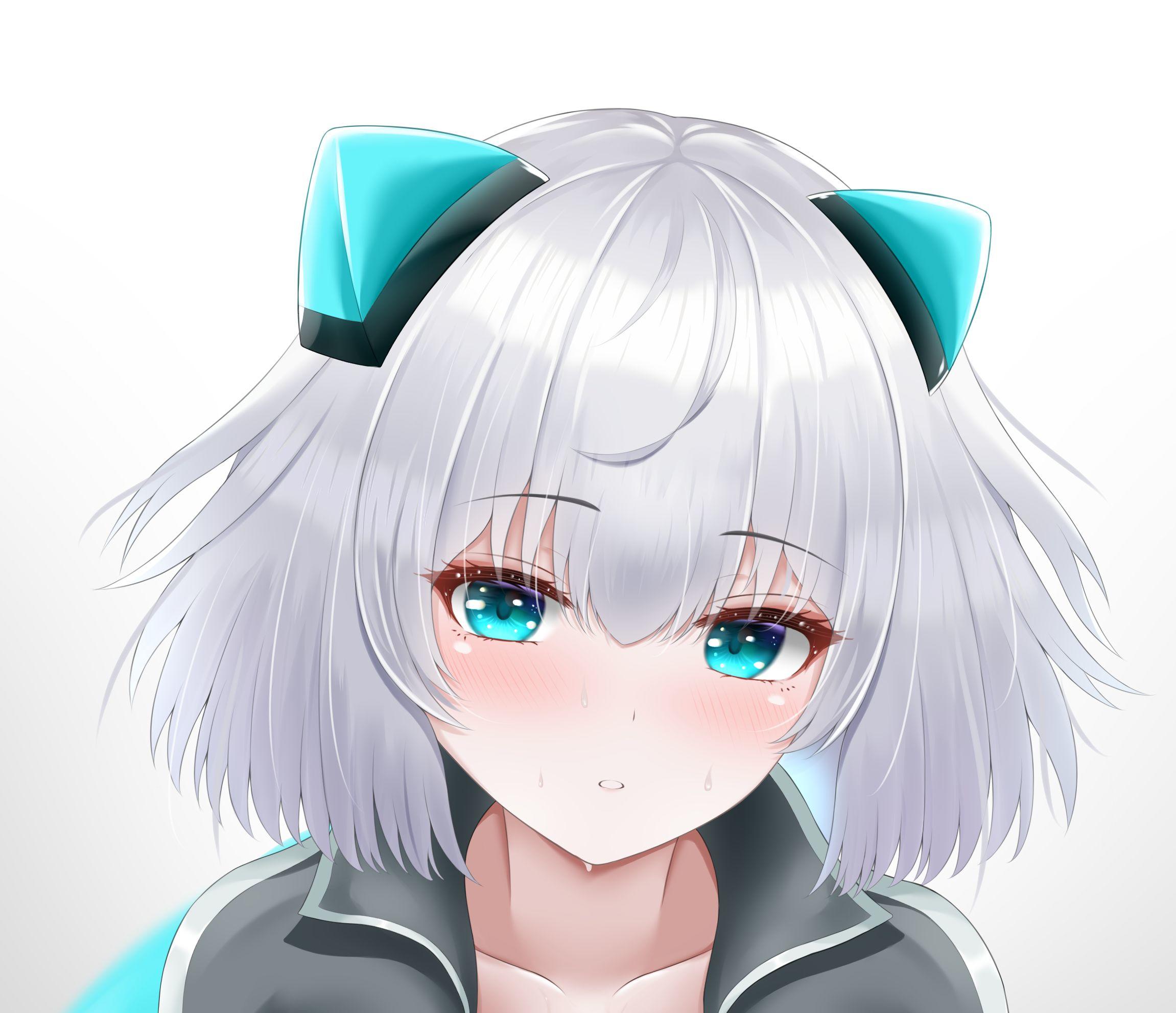 只能发这点截图