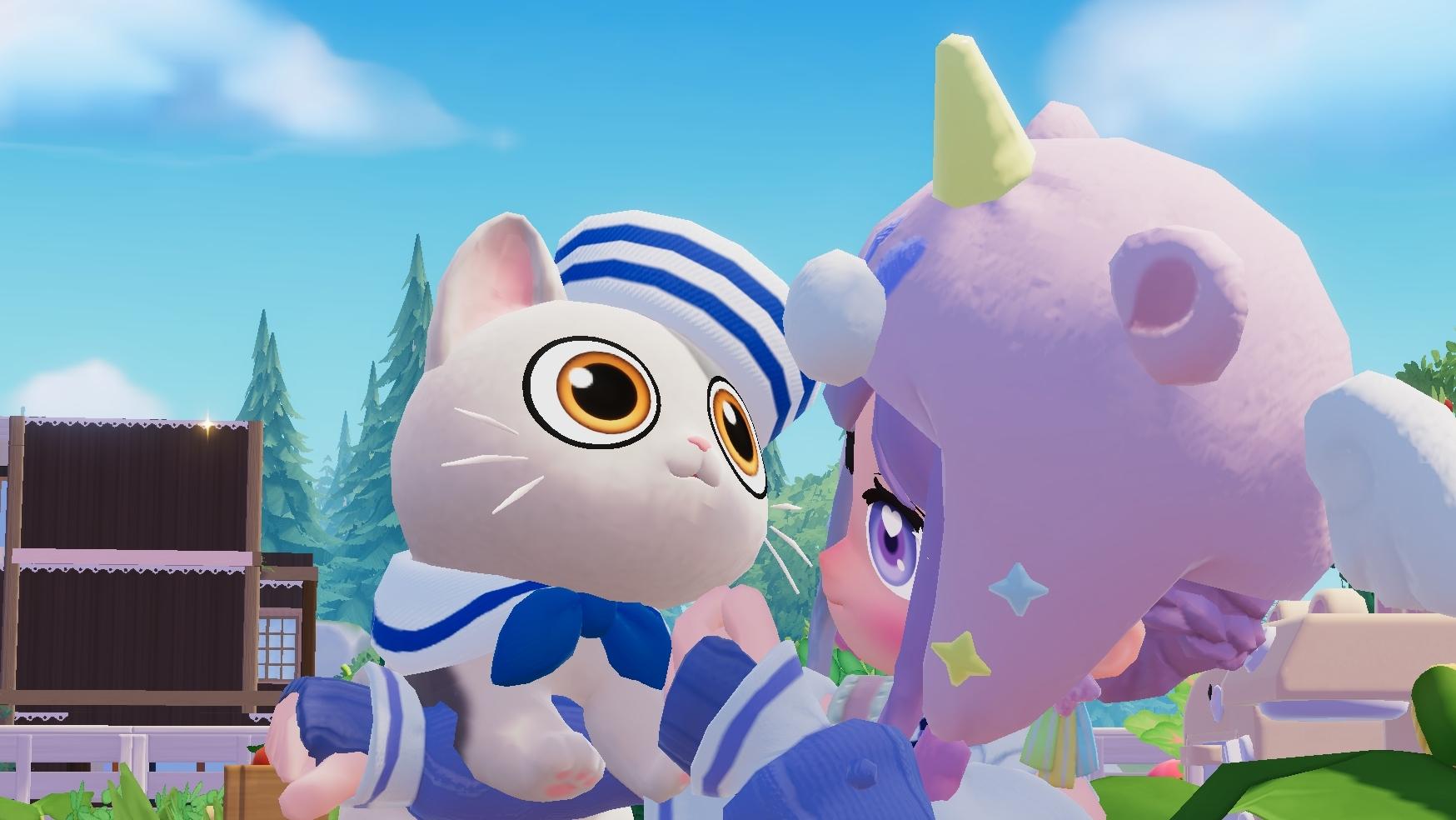 对于官方，关于养猫的一些建议