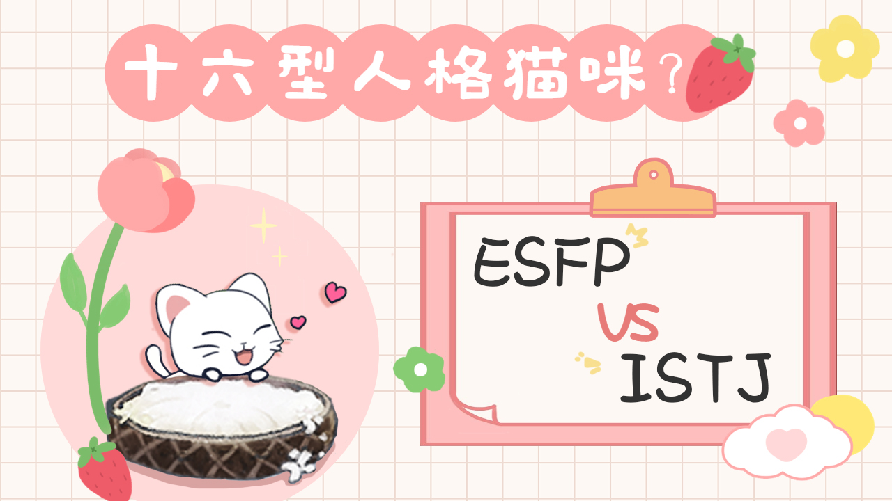 十六型人格猫咪？ESFP和ISTJ猫咪的反差！