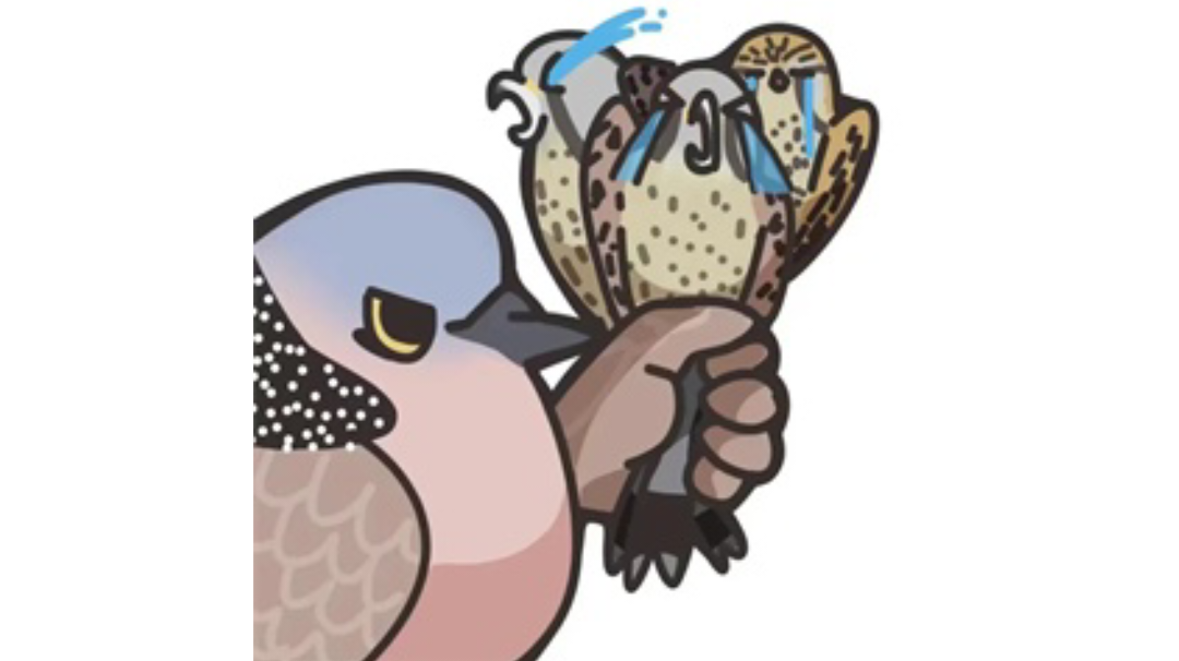 贫民魔炮-配置【先行版】