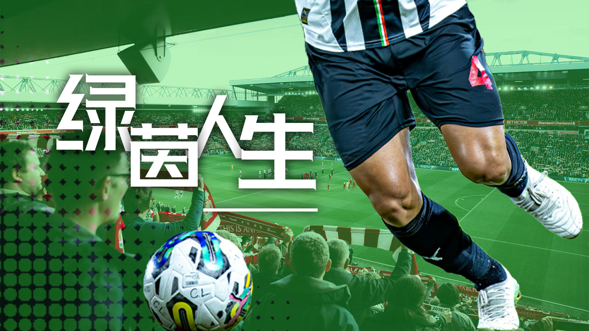 绿茵人生 0.6.5 测试版 发布