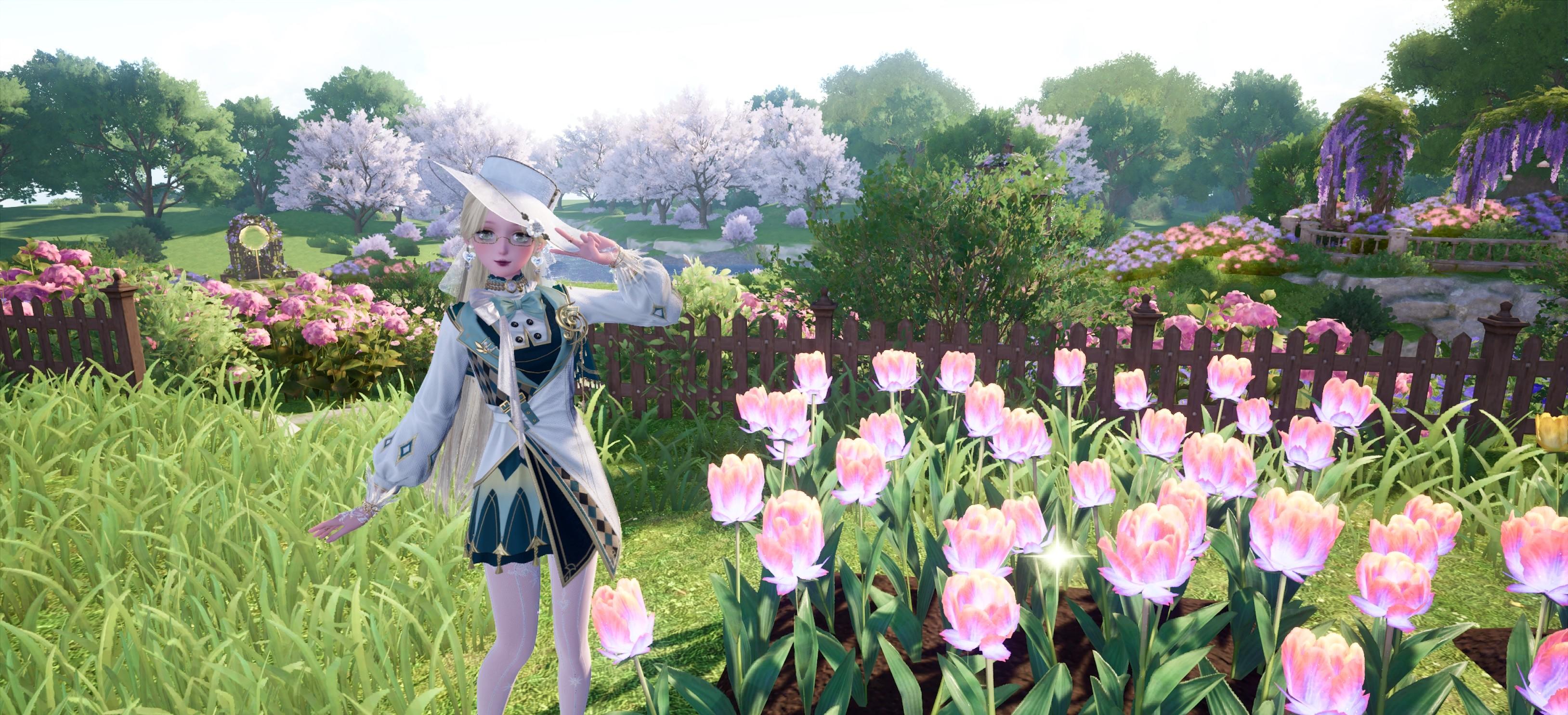 赶上双色花的末班车