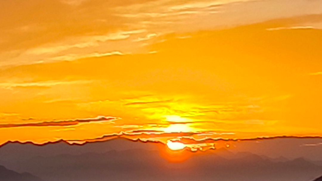 官方可以做个家园园长能自定义设定贡献值