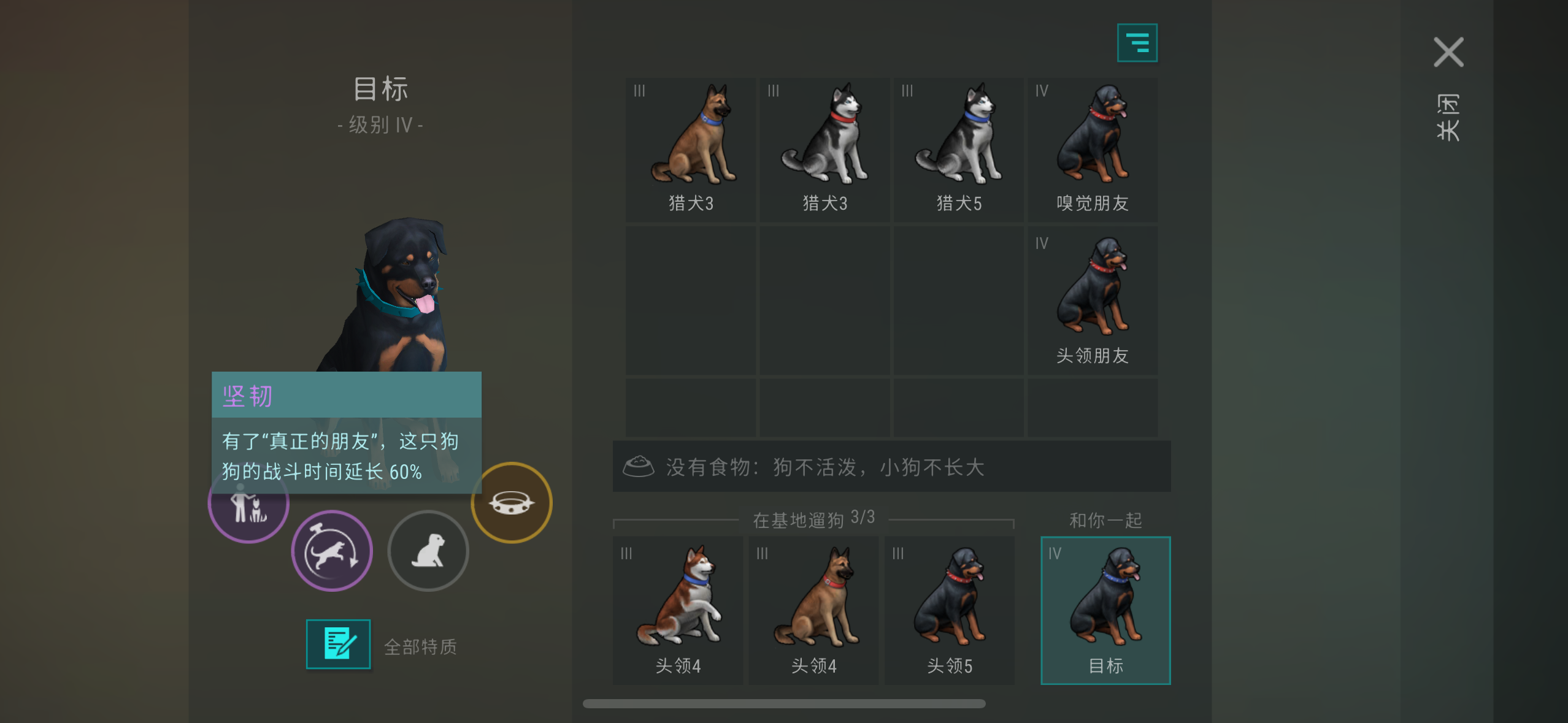 我又来了，半顶级攻击狗