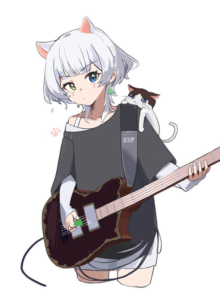 每日一遍，我要等猫猫!!😼