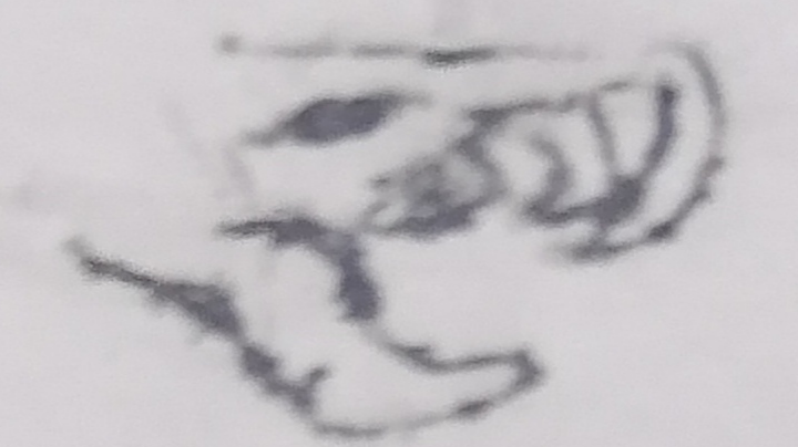 虚无之刺流的深入思考