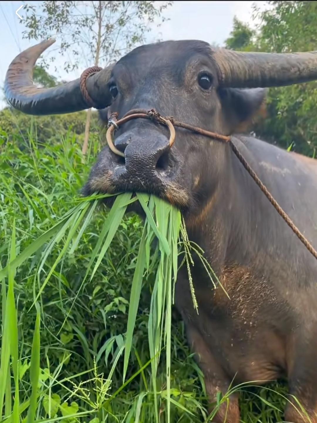 心态爆炸，这侠义认真的吗？截图